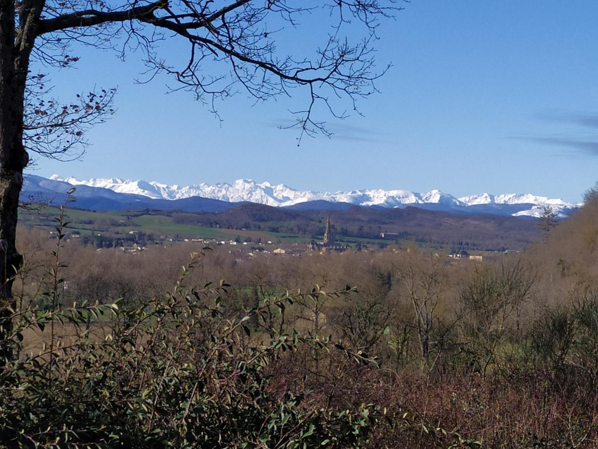 - - - - -les Colombages - - - - D'hotes-gite- Classement 3 Etoiles * Mirepoix (Ariege)