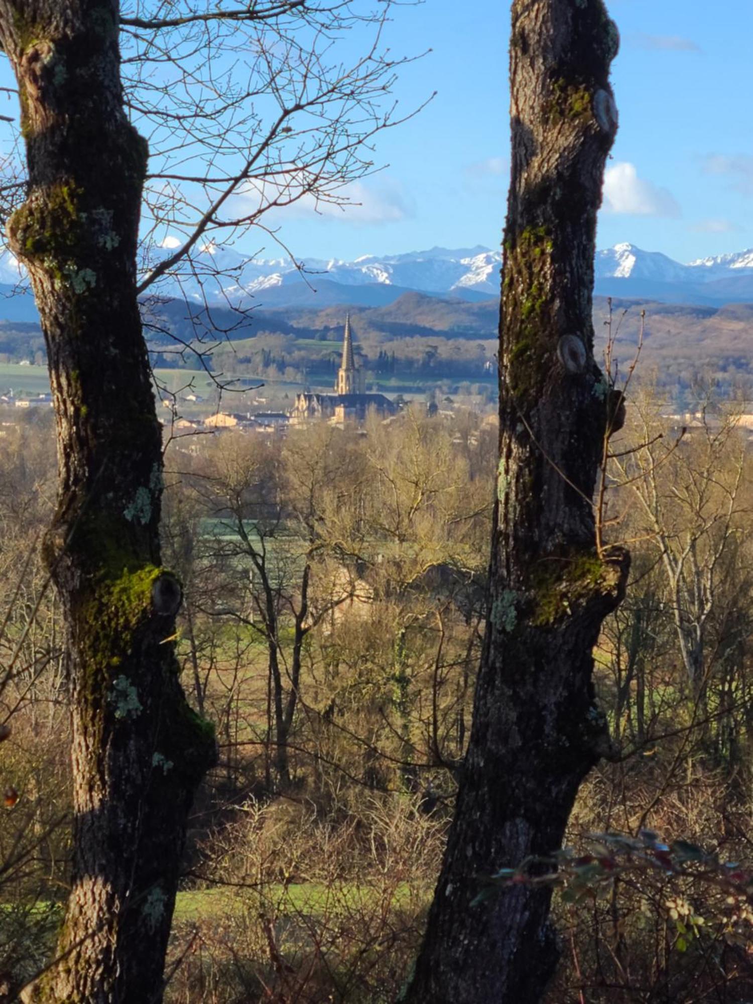 Apartment - - - - -les Colombages - - - - D'hotes-gite- Classement 3 Etoiles *
