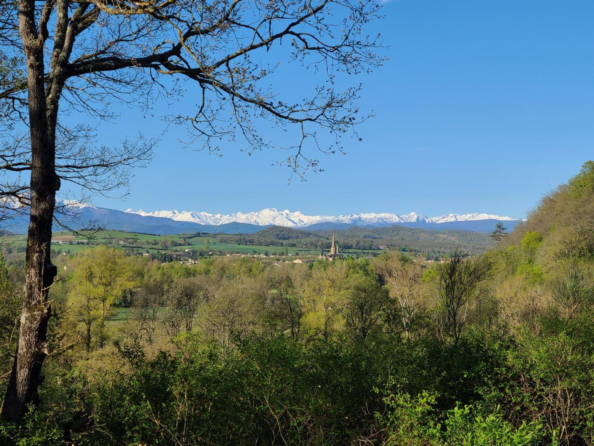 - - - - -les Colombages - - - - D'hotes-gite- Classement 3 Etoiles Apartment Mirepoix (Ariege)